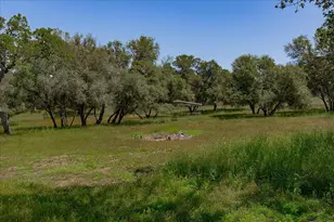 7087 Latigo St, Angels Camp, CA 95222 - Photo 57