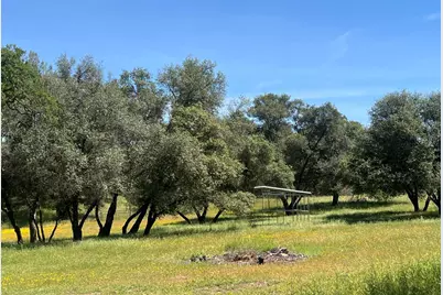 7087 Latigo Street, Angels Camp, CA 95222 - Photo 59