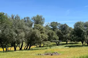 7087 Latigo St, Angels Camp, CA 95222 - Photo 59