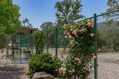 7087 Latigo Street, Angels Camp, CA 95222 - Photo 47