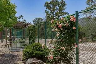 7087 Latigo St, Angels Camp, CA 95222 - Photo 47