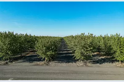 7802 S James Road, Tranquillity, CA 93660 - Photo 7