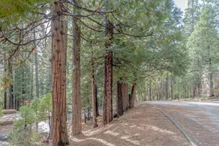 1002 Manuel, Arnold, CA 95223 - Photo 27