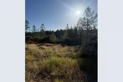 485 Manzanita Trail, Georgetown, CA 95634 - Photo 11
