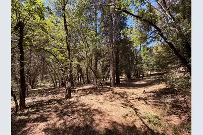 16404 Greenhorn Road, Grass Valley, CA 95945 - Photo 5