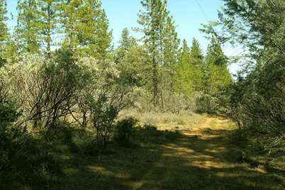 0 Allen Way, Brownsville, CA 95919 - Photo 11