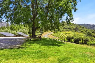 7201 Happy Valley Rd, Somerset, CA 95684 - Photo 63
