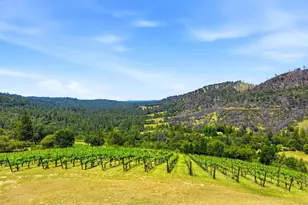 7201 Happy Valley Rd, Somerset, CA 95684 - Photo 41