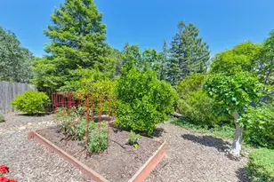 1915 Sapphire Way, El Dorado Hills, CA 95762 - Photo 51