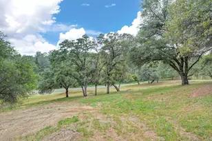 4860 Silk Tree Ln, Cool, CA 95614 - Photo 79