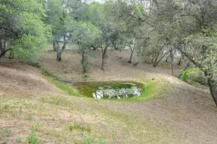 4860 Silk Tree Ln, Cool, CA 95614 - Photo 81