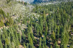 6139 41 Mile Stone Rd, Kyburz, CA 95720 - Photo 85