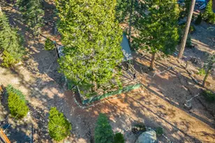 6139 41 Mile Stone Rd, Kyburz, CA 95720 - Photo 89