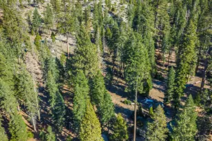 6139 41 Mile Stone Rd, Kyburz, CA 95720 - Photo 87