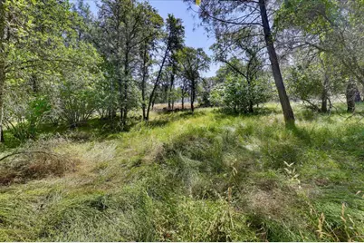9668 Coburn Court, Browns Valley, CA 95918 - Photo 45
