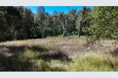 9668 Coburn Court, Browns Valley, CA 95918 - Photo 21