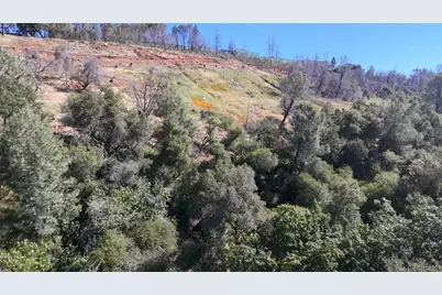 1687 Duden Drive, Placerville, CA 95667 - Photo 15