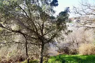 14055 River Rd, Walnut Grove, CA 95690 - Photo 43
