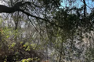 14055 River Rd, Walnut Grove, CA 95690 - Photo 9
