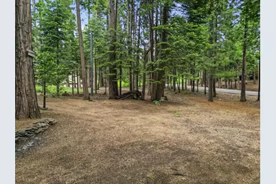 337 Kenshaw Court, Dorrington, CA 95223 - Photo 37