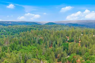 25976 Kings Ct, Pioneer, CA 95666 - Photo 45