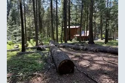 216 Mewko Way, Camp Connell, CA 95223 - Photo 3