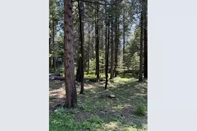 216 Mewko Way, Camp Connell, CA 95223 - Photo 5