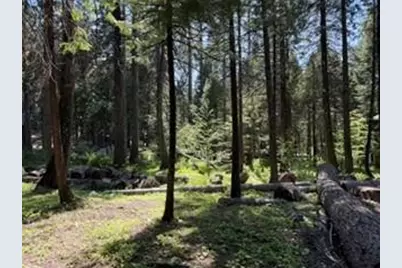 216 Mewko Way, Camp Connell, CA 95223 - Photo 3