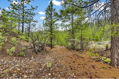0 13751 Sailor Flat Rd, Nevada City, CA 95959 - Photo 45
