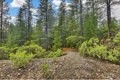 0 13751 Sailor Flat Rd, Nevada City, CA 95959 - Photo 35