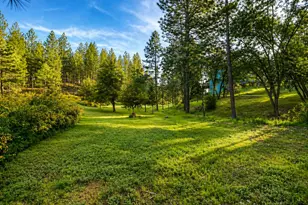 24275 Grand View Ave, Colfax, CA 95713 - Photo 23