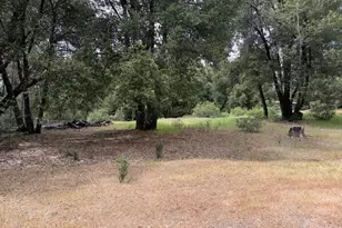 18834 Potternoff Rd, Mokelumne Hill, CA 95245 - Photo 29