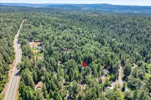 5043 Virginia Bird Mine Ct, Foresthill, CA 95631 - Photo 41