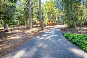 5043 Virginia Bird Mine Ct, Foresthill, CA 95631 - Photo 43