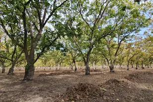700 Wellsford Rd, Modesto, CA 95357 - Photo 71