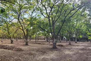 700 Wellsford Rd, Modesto, CA 95357 - Photo 79