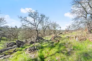 8251 Buffalo Ridge Rd, Ione, CA 95640 - Photo 45