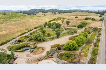 22001 Shenandoah School Road, Plymouth, CA 95669 - Photo 7