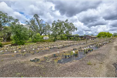 22001 Shenandoah School Road, Plymouth, CA 95669 - Photo 47