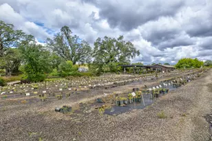 22001 Shenandoah School Rd, Plymouth, CA 95669 - Photo 47