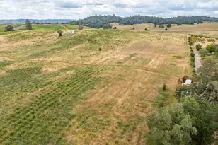 22001 Shenandoah School Rd, Plymouth, CA 95669 - Photo 21