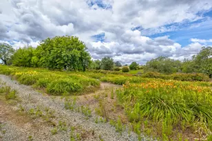 22001 Shenandoah School Rd, Plymouth, CA 95669 - Photo 63