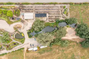 22001 Shenandoah School Rd, Plymouth, CA 95669 - Photo 23