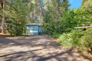 State Hwy 88, Pine Grove, CA 95665 - Photo 3