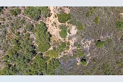 12336 Scott Road, Sheep Ranch, CA 95246 - Photo 69
