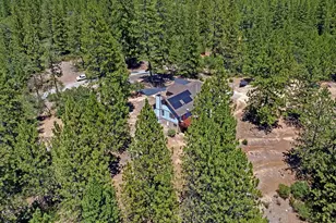 12336 Scott Rd, Sheep Ranch, CA 95246 - Photo 65