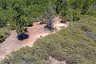 12336 Scott Rd, Sheep Ranch, CA 95246 - Photo 67