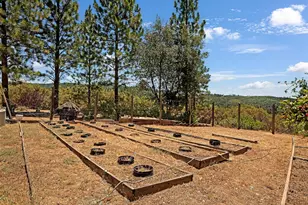 12336 Scott Rd, Sheep Ranch, CA 95246 - Photo 51
