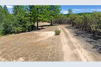 12336 Scott Road, Sheep Ranch, CA 95246 - Photo 49