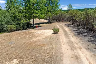 12336 Scott Rd, Sheep Ranch, CA 95246 - Photo 49